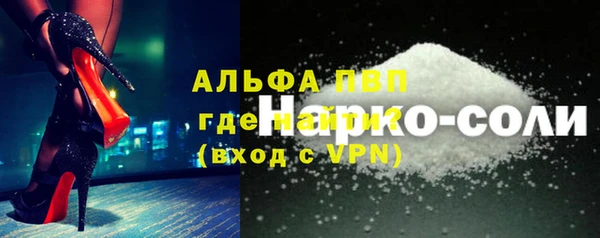 мет Алексин