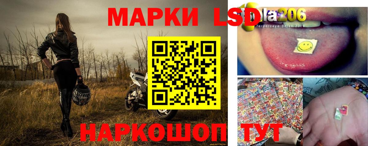 Каменка  Наркотические марки 1500мкг  Вход с VPN  Наркотические марки 1500мкг 