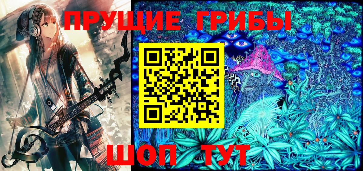 Галлюциногенные грибы Magic Shrooms  где купить наркотик  Каменка  Вход с VPN 